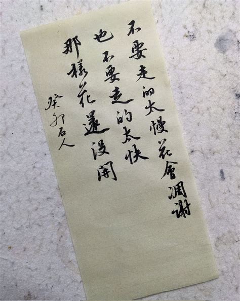 宣智山房——石人 On Twitter 不要走的太慢，花会凋谢 也不要走的太快 那样，花还没开