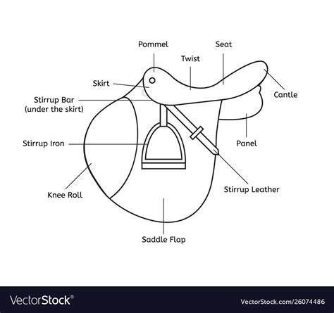 Black line saddle parts names Royalty Free Vector Image