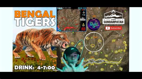 Thehunter Call Of The Wild Hunting The New Bengal Tiger On The New