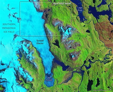 Melting Glacier Exposes Ichthyosaur Fossils