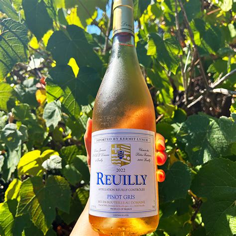 2022 Reuilly Pinot Gris Rosé Domaine de Reuilly Kermit Lynch Wine