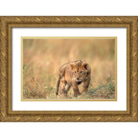 Hoenderkamp Patrick 18x13 Gold Ornate Wood Framed With Double Matting