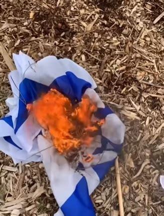 Teen Who Burned Israeli Flag Outside Montreal School Breaks Probation A