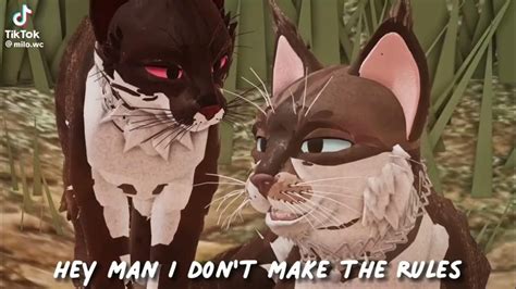 Wcue Tiktoks D Warrior Cats Comics Warrior Cat Warrior Cat Oc