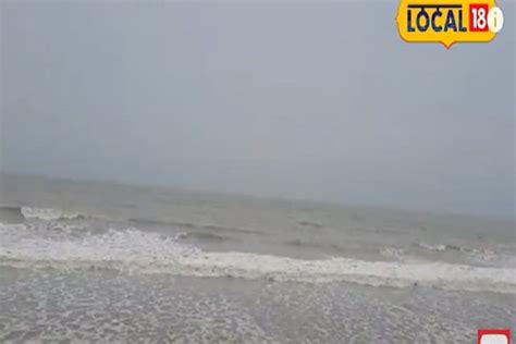 Jellyfish In Digha Sea Beach দিঘার সমুদ্রে একী ভেসে এল ভয়ঙ্কর বিপদ