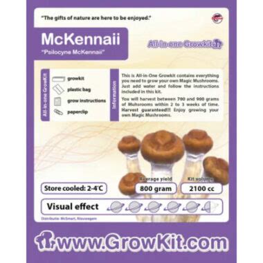 Mckennaii Magic Mushroom Grow Kit The Headshop Amsterdam