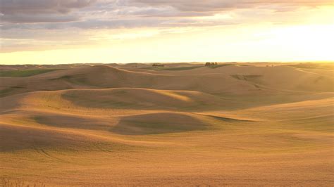 Palouse Sunset 1294052 Stock Video at Vecteezy