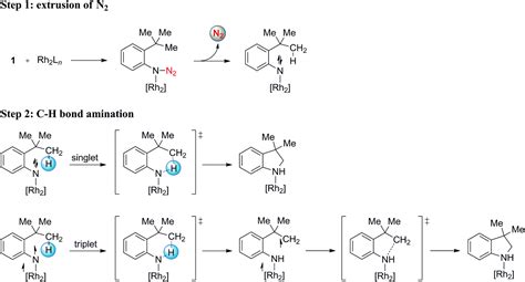 A Theoretical Study Of Dirhodium Catalyzed Intramolecular Aliphatic Ch