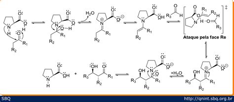 Esquema Mecanismo De Adi O Ald Lica Catalisada Pela L Prolina