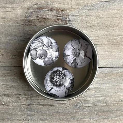 Round Cabochon Vintage Botanical Flower And Fruit Magnets Set Etsy Flower Magnets Botanical