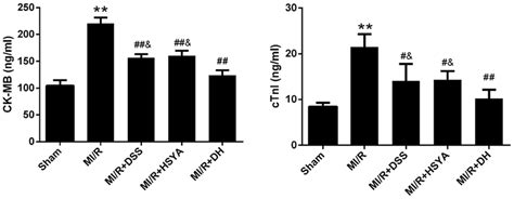 Levels Of Creatine Kinase MB CK MB And Cardiac Troponin I CTnI In