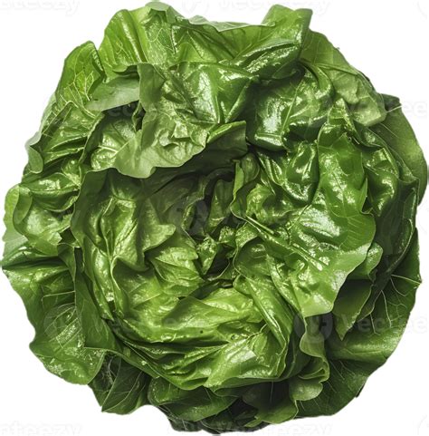 Lettuce Transparent Background 46438304 Png