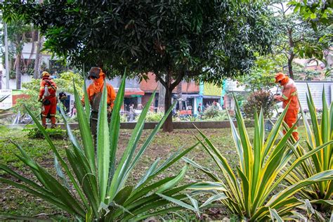 Jornada de Intervención integral en el centro de la ciudad