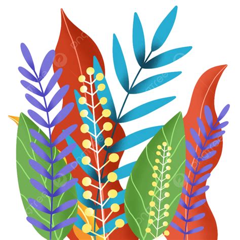 Illustrations De Feuilles Colorées PNG Feuille Plante Couleur