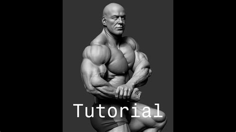 Udemy Advanced Zbrush Bodybuilder Anatomy Tutorial YouTube