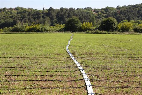 KÜRESEL ISINMADA SALMA SULAMAYA KARŞI DAMLA SULAMA ETKİSİ Agro World