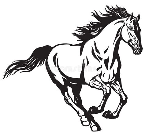 Running horse black white stock vector. Illustration of strong - 35226180