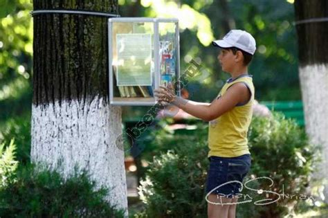 GALERIE FOTO Bibliotecă în aer liber deschisă vara în parcul Crâng