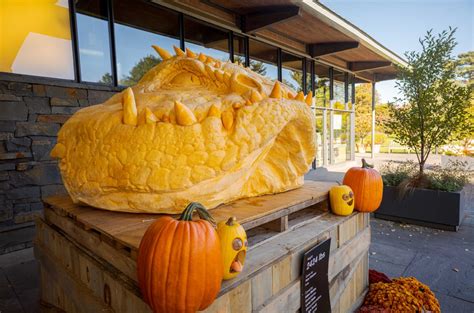 Giant Pumpkin Carving Weekend New York Botanical Garden