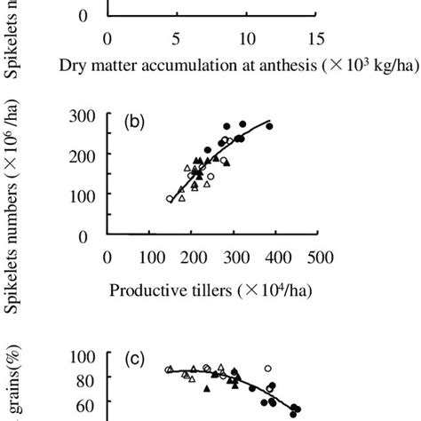 Ab Grain Filling Rate And Cd Grain Weight Of Superior Grains