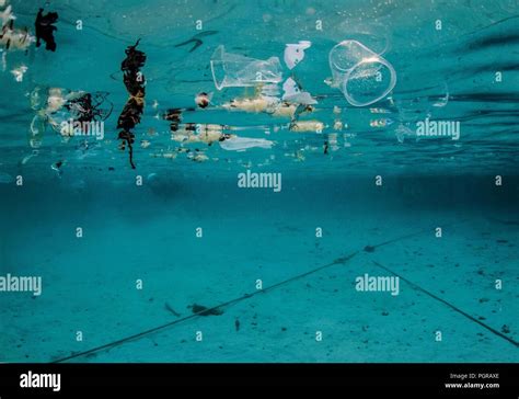 Plastic Pollution Underwater