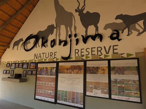 Okonjima Game Reserve Waterberg Plateau Park Aggiornato 2020 Tutto