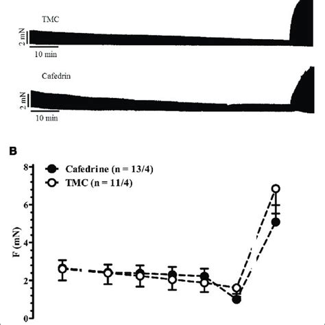 | Indirect sympathomimetic effects of norephedrine. (A) Original ...