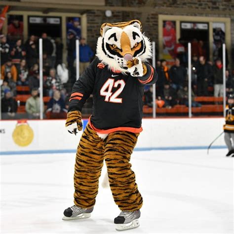 The Princeton Tiger | Mascot Hall of Fame