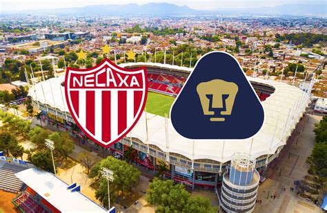 Pumas Vs Necaxa Hora Cómo Y Dónde Ver La Liga Mx Por Tv Y Online