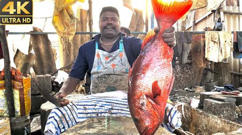 Kasimedu Speed Selvam Red Snapper Fish Chopping Cutting Fresh Fish