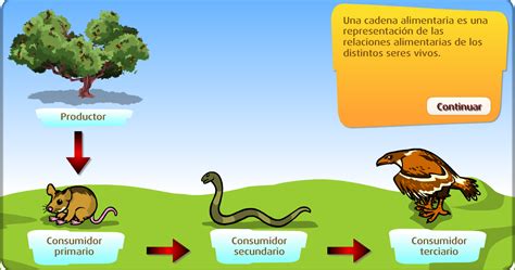 Naturaleza Mejor Cadena Alimentaria