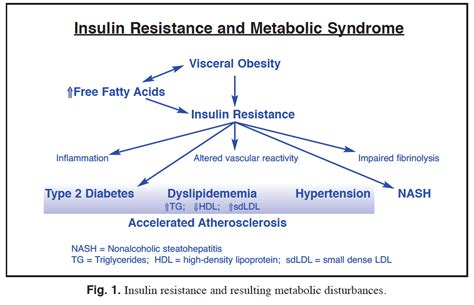 Reversing Insulin Resistance To Reduce Type 2 Diabetes Nutrition Review