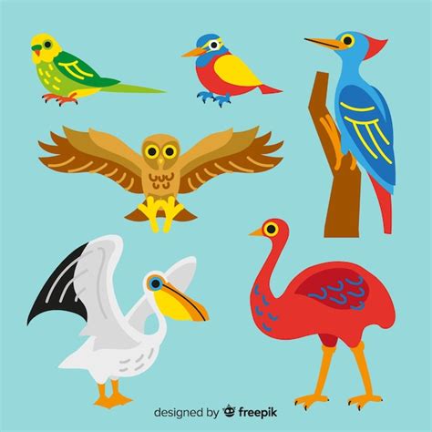 Dibujado a mano linda colección de aves Vector Gratis