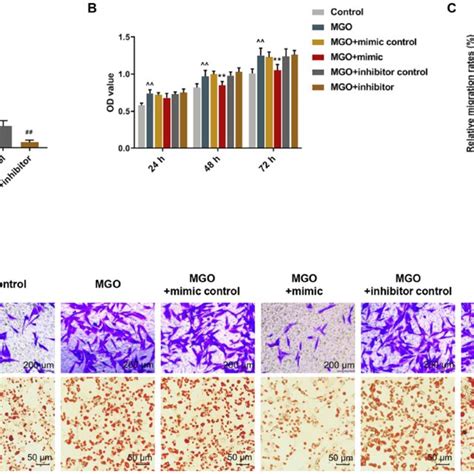 Over Expressed MiR 450a 5p Inhibited Viability Migration And Lipid