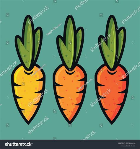 Three Fresh Carrots Vector Illustration Stock Vector Royalty Free