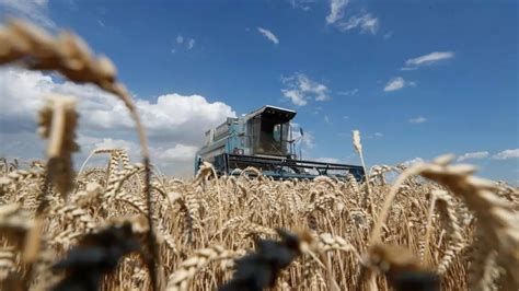 Revolución Agropecuaria En Colombia Agricultura De Las Americas