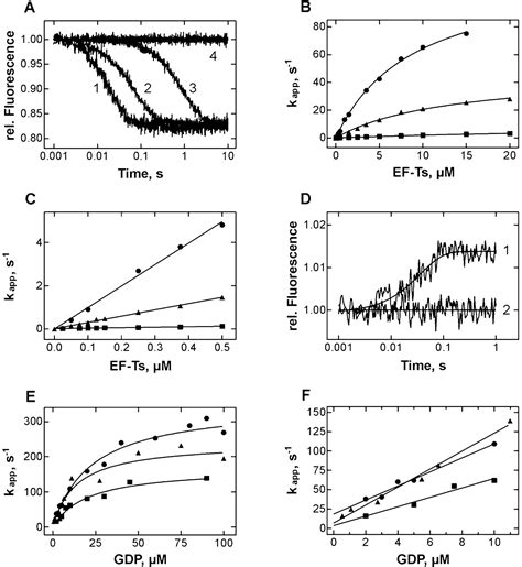 Mechanism Of Elongation Factor Ef Ts Catalyzed Nucleotide Exchange In