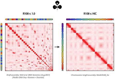 IJMS Free Full Text Delineating The Tnt1 Insertion Landscape Of The