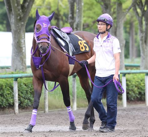 日曜東京競馬場の注目激走馬東京11rユニコーンステークス・g3 Umatoku 馬トク