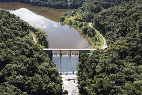 Copel Preserva 25 Mil Hectares De Floresta Nativa Em Todo O Brasil