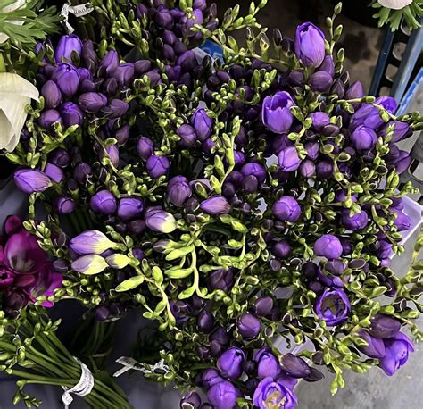 Discover Freesias: The Silent Star of Wedding Bouquets