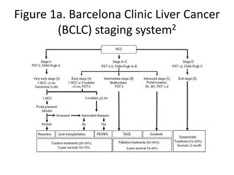 Bclc Staging System Describes The Number And Size Of The The Va Utilizes The Bclc System To