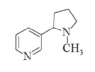 Nicotine L Ch T G Y Nghi N C Trong Thu C L Nicotine L M T Amine V