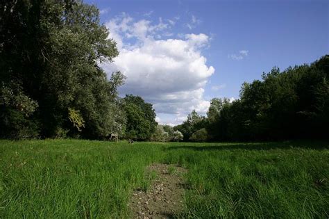 Duna Dráva Nemzeti Park