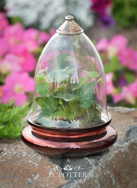 Glass Cloche Garten