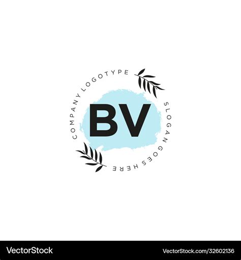 Bv letter logo icon design template elements Vector Image