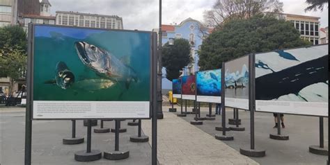 ABANCA y Afundación muestran en la plaza de Amboage toda la belleza de