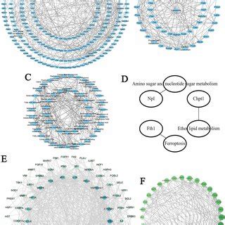 PPI Network Analysis A PPI Pathway Gene All Network Between PF Group