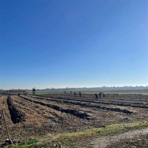 FOTO Črečansko polje postaje Zelena oaza