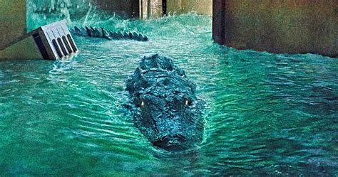 Alligator Shows On Netflix - cacimumapse